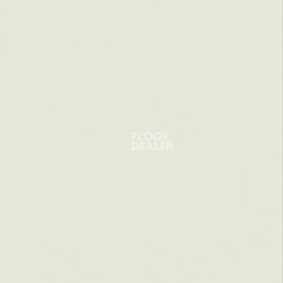 Линолеум Настенное покрытие Tarkett Wallgard Rolls White Green фото 1 | FLOORDEALER